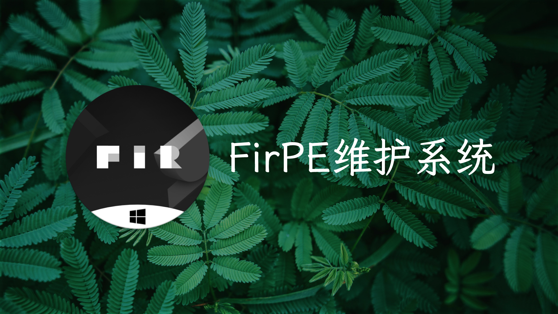 FirPE Project维护系统-洛柒笔记