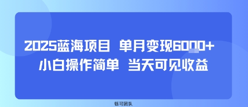 2025蓝海项目 单月变现6k+ 小白操作简单 当天可见收益-洛柒笔记