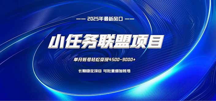 （16521期）小任务联盟项目：一台电脑每天只需10分钟，轻松简单稳定-洛柒笔记
