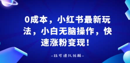 0成本，小红书最新玩法，小白无脑操作，快速涨粉变现-洛柒笔记