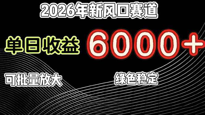 （17135期）2026年新风口赛道，当日6000+以上，可批量放大，月收入20万+，长期绿色稳定的项目-洛柒笔记