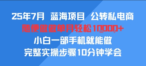 25年7月蓝海项目，公转私电商，随便做做单月轻松1w，小白一部手机就能做，完整实操步骤10分钟学会-洛柒笔记