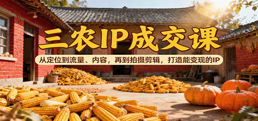 三农IP成交课：从定位到流量、内容，再到拍摄剪辑，打造能变现的IP-洛柒笔记
