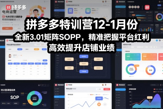 拼多多特训营12-1月份，全新3.01矩阵Sop，精准把握平台红利，高效提升店铺业绩-洛柒笔记