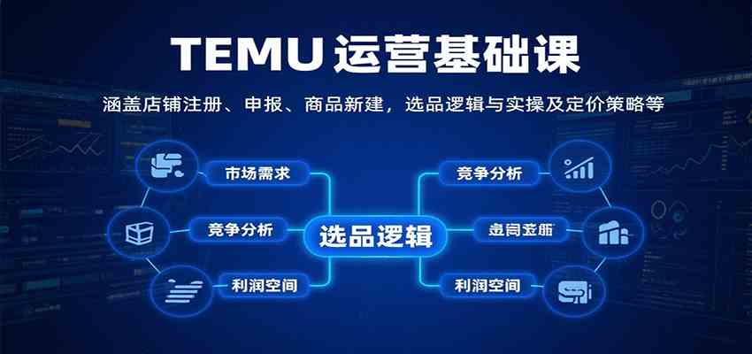 TEMU运营基础课：涵盖店铺注册、申报、商品新建，选品逻辑与实操及定价策略等-洛柒笔记