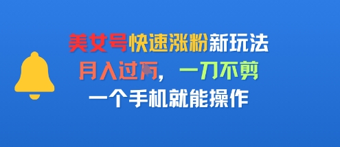 美女号快速涨粉新玩法，月入过W，一刀不剪，一个手机就能操作-洛柒笔记