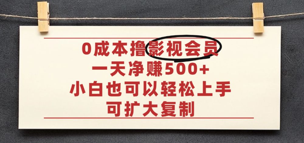 亲测，0成本可批量操作，靠卖影视会员实测月入30000+-洛柒笔记