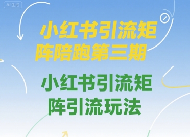 小红书引流矩阵陪跑第三期，小红书引流矩阵引流玩法-洛柒笔记