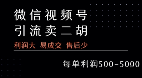视频号卖二胡教程，利润大 易成交 售后少，一单利润5张+-洛柒笔记