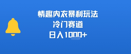 情趣内衣暴利玩法，冷门赛道，日入1k+-洛柒笔记