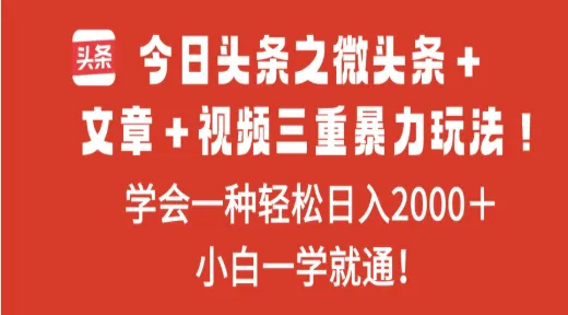 今日头条之微头条＋文章＋视频三重暴力玩法，学会一种轻松日入2000＋-洛柒笔记