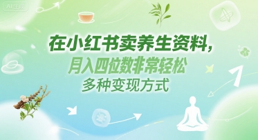 在小红书卖养生资料，月入四位数非常轻松，多种变现方式-洛柒笔记