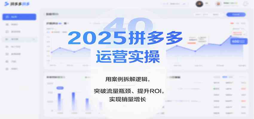 2025拼多多运营实操，用案例拆解逻辑，突破流量瓶颈、提升ROI，实现销量增长（更新）-洛柒笔记