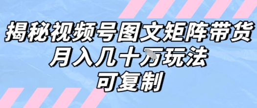 解密视频号图文矩阵带货，月入几个W的打法，可复制-洛柒笔记