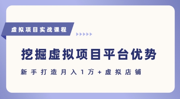 抓住虚拟项目各平台优势，新手轻松月入1W+(给出具体建议)-洛柒笔记