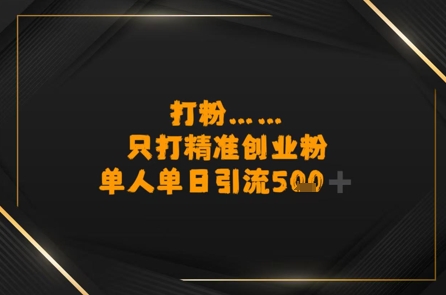 打粉只打精准创业粉，单人单日引流500+-洛柒笔记