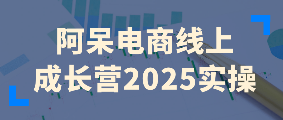 阿呆电商线上成长营2025实操-洛柒笔记