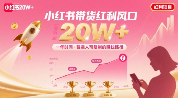 一年时间靠小红书带货项目年入20w+，最不能错的大红利项目-洛柒笔记