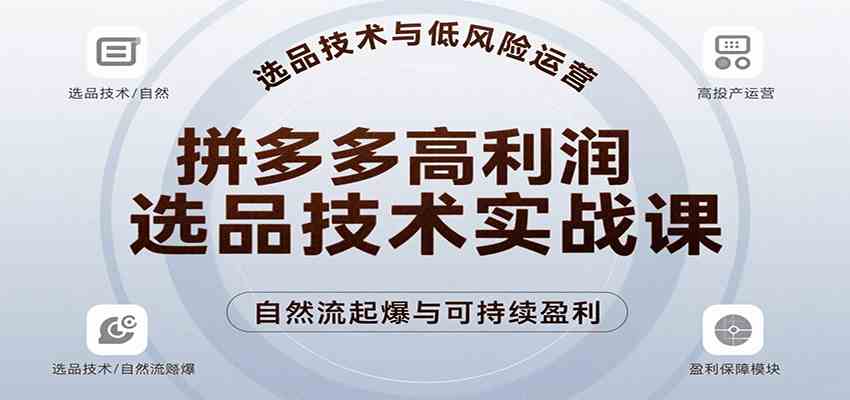 拼多多高利润选品技术实战课，手把手教学自然流高投产起爆，实现低风险可持续盈利-洛柒笔记