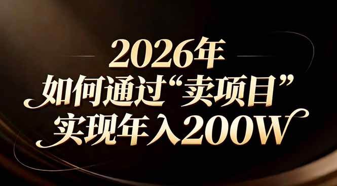 （17309期）站在2026年的十字路口：一个普通人如何通过卖项目实现年入200万-洛柒笔记