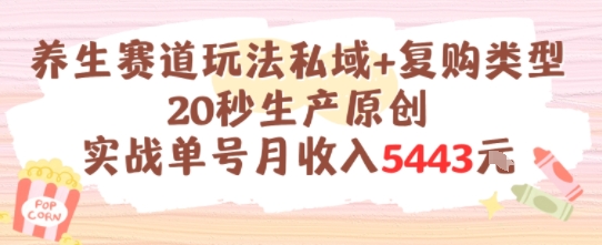 养生赛道玩法私域+复购类型，20秒生产原创实战单号月收入5k+-洛柒笔记
