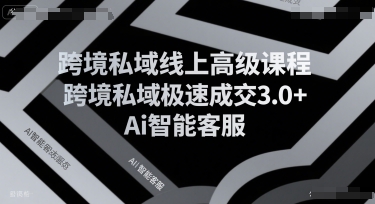 跨境私域线上高级课程，跨境私域极速成交3.0+Ai智能客服-洛柒笔记