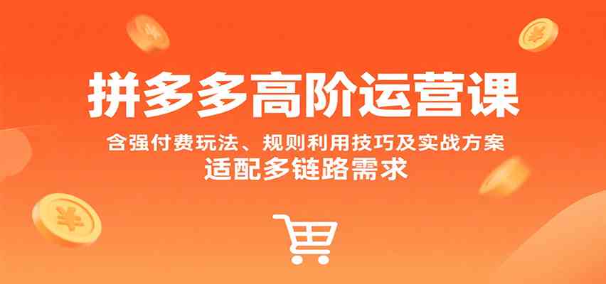 拼多多高阶运营课，含强付费玩法、规则利用技巧及实战方案，适配多链路需求-洛柒笔记
