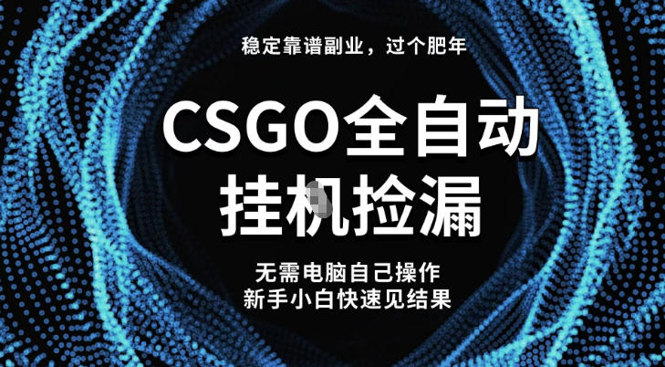 【稳定副业】全球最热门游戏CSGO全自动捡漏，最新玩法，新手小白日入5张+【揭秘】-洛柒笔记