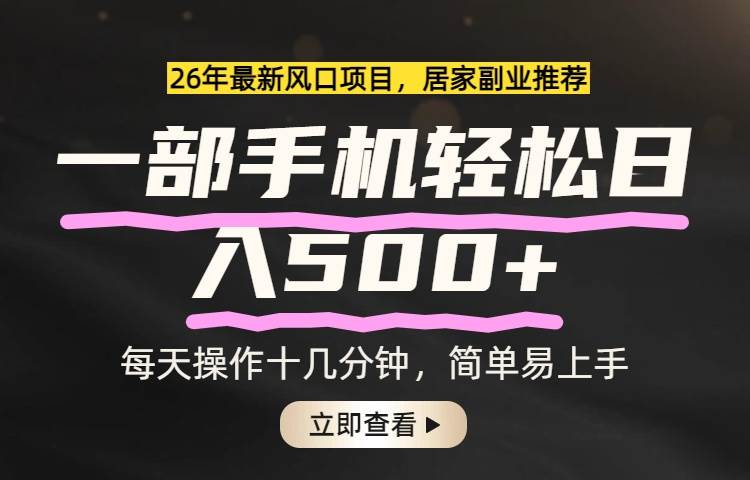 （17680期）26年居家副业首选，一部手机轻松日入500+，长期稳定可做-洛柒笔记