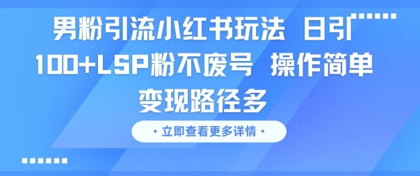 男粉引流小红书玩法，日引100+LSP粉不废号，操作简单，变现路径多-洛柒笔记