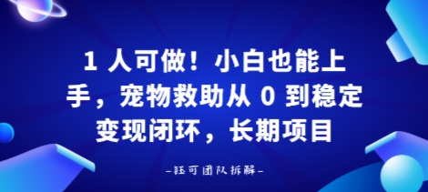 1人可做！小白也能上手，宠物救助从 0 到稳定变现闭环，长期项目-洛柒笔记
