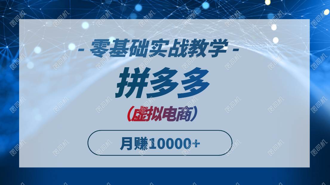 （14880期）拼多多虚拟电商，零基础实战教学，快速打爆商品，新手也能月入10000+-洛柒笔记