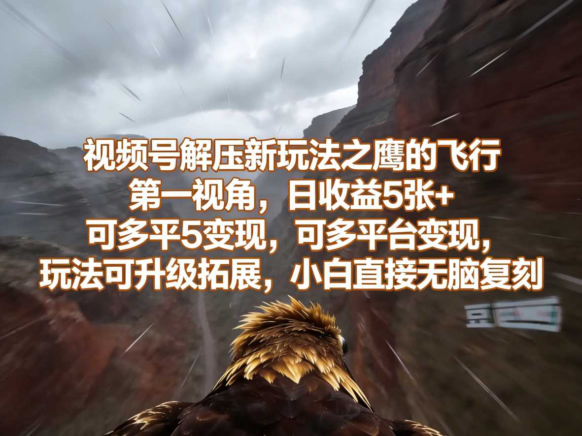 视频号解压新玩法之鹰的飞行第一视角，日收益5张+，可多平台变现，玩法可升级拓展，小白直接无脑复刻-洛柒笔记