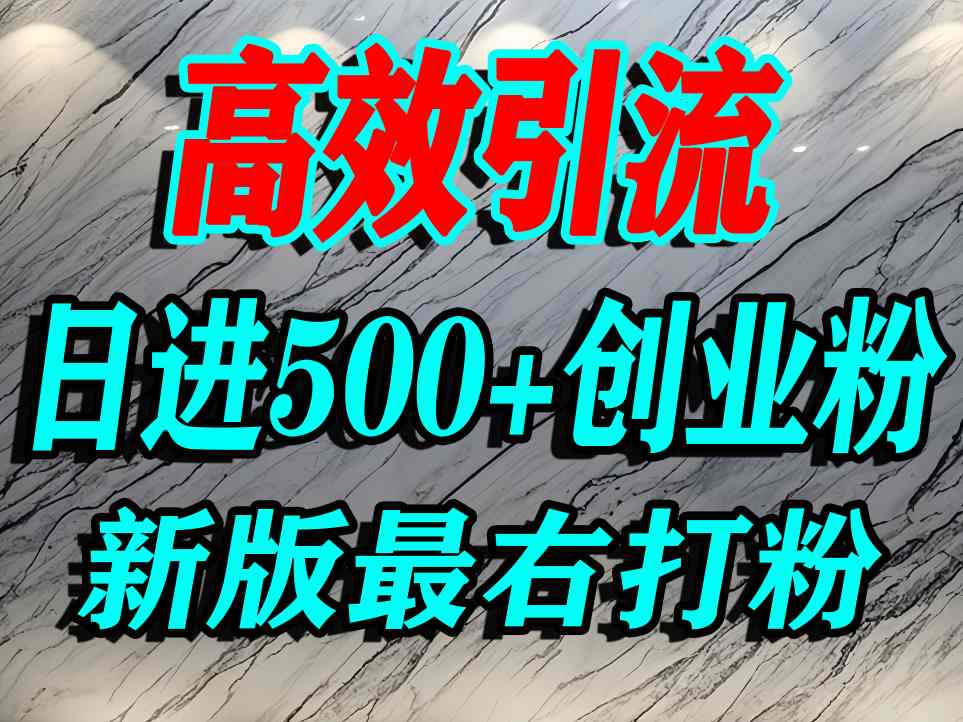最右打创业粉，百分之九十九同行都不知道的空白蓝海，单人日引500+精准流量-洛柒笔记