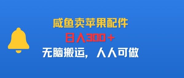 咸鱼卖苹果配件，日入3张+，无脑搬运，人人可做-洛柒笔记