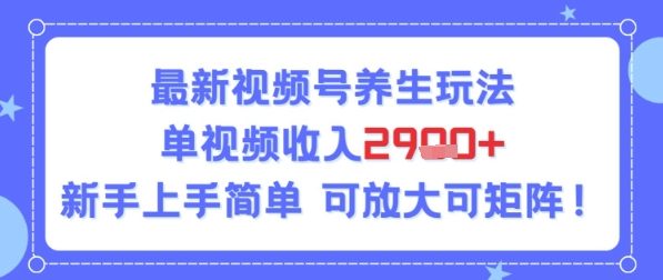 视频号养生玩法，单视频收入2.9k，新手上手简单-洛柒笔记