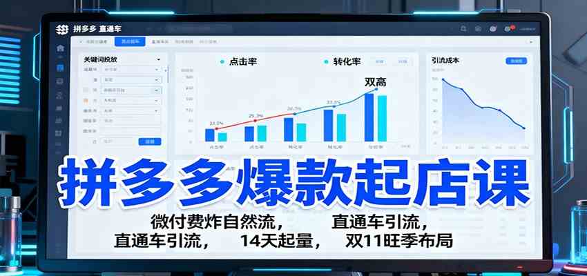 拼多多爆款起店课：微付费炸自然流，直通车引流，14天起量，双11旺季布局-洛柒笔记