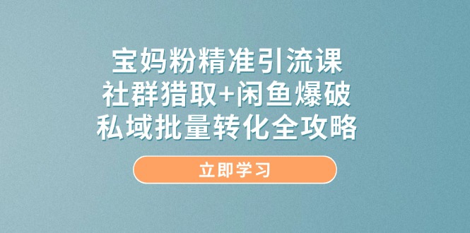 （14820期）宝妈粉精准引流课，社群猎取+闲鱼爆破，私域批量转化全攻略-洛柒笔记