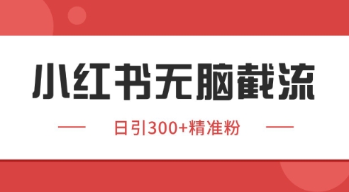 小红书截流同行客源，独家野路子获客玩法 日引200+暴力获客【揭秘】-洛柒笔记