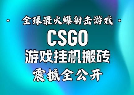 【年底大揭秘】基于全球最火爆的射击CSGO游戏挂G搬砖，日入5张+，震撼公开-洛柒笔记