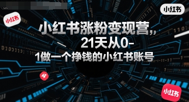 小红书涨粉变现营，21天从0-1做一个挣钱的小红书账号-洛柒笔记