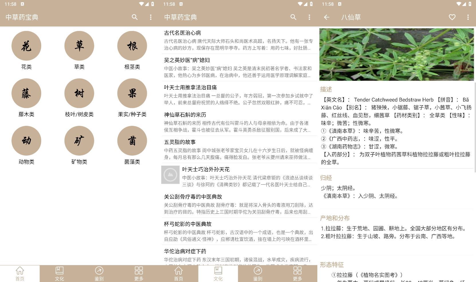 安卓中草药宝典v2.6.12纯净版-洛柒笔记