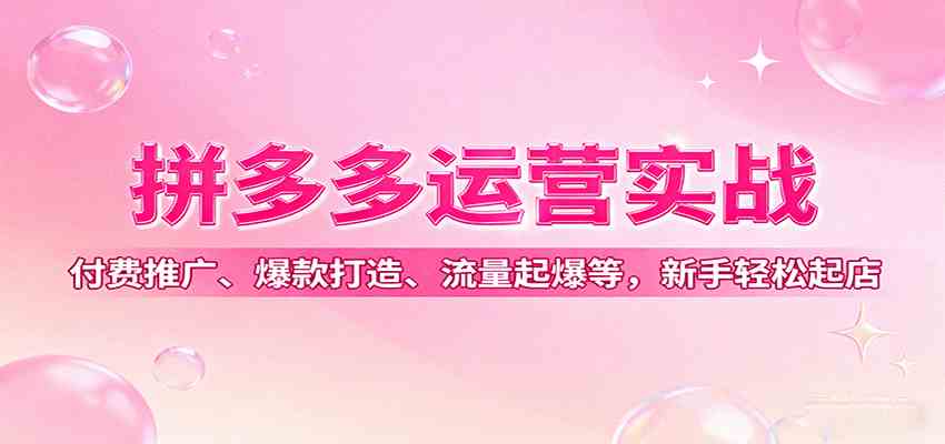 拼多多运营实战，付费推广、爆款打造、流量起爆等，新手轻松起店-洛柒笔记