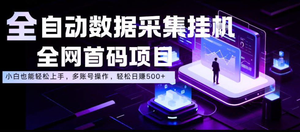 全自动数据采集挂G，全网首码项目，简单易操作，小白也能轻松上手，多账号操作，轻松日入500+【揭秘】-洛柒笔记