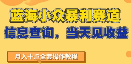 蓝海小众暴利赛道，信息查询，当天见收益，不讲玄学，7天搞了2W+-洛柒笔记