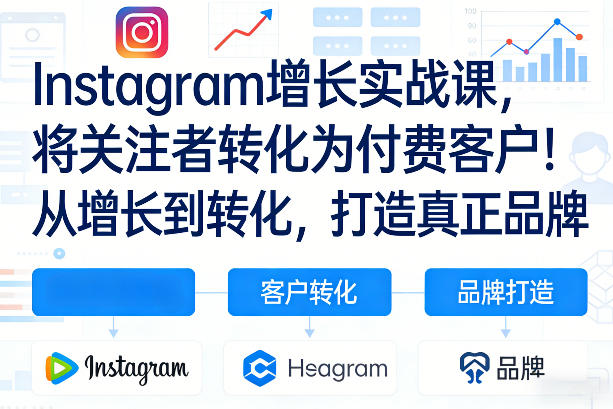 Instagram增长实战课,将关注者转化为付费客户!从增长到转化,打造真正品牌(双语字幕)-洛柒笔记