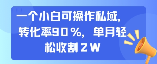 一个小白可操作私域，转化率90%，单月轻松收割2W-洛柒笔记
