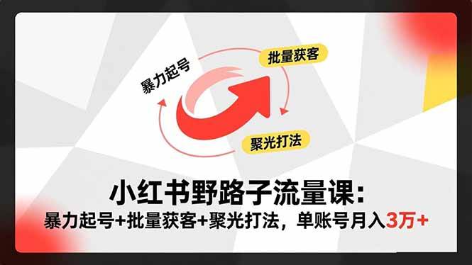 （16513期）小红书野路子流量课：暴力起号+批量获客+聚光打法，单账号月入3万+-洛柒笔记
