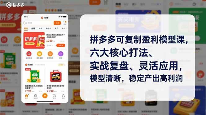 （16952期）拼多多可复制盈利模型课，六大核心打法、实战复盘、灵活应用，模型清晰，稳定产出高利润-洛柒笔记
