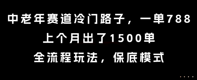 中老年赛道冷门路子，一单788，上个月出了1500单，全流程玩法，保底模式【揭秘】-洛柒笔记
